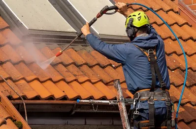 Démoussage et hydrofuge de toiture à la Ferrière-au-Doyen